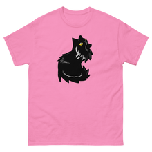 Load image into Gallery viewer, Jewell The Cat