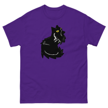 Load image into Gallery viewer, Jewell The Cat